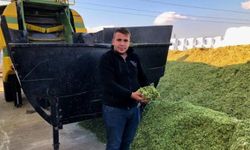 Silajlık mısıra ve samana talep arttı
