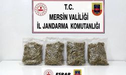 Uyuşturucu taciri 2 kilo 100 gram esrarla yakalandı