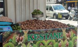 Mersin’de yılın ilk cevizleri seyyar tezgahlara düştü