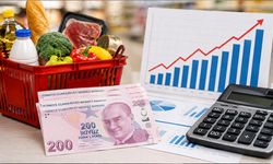 Ağustos ayında yıllık enflasyon yüzde 31,51 oldu