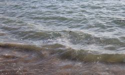 Mersin sahillerinde alarm: Akdeniz, mikroplastik kirliliğiyle boğuşuyor