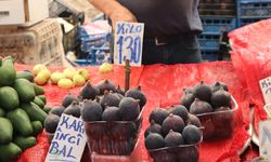 Mersin’de kara incir fiyatları düştü