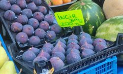 Mersin’de taze incirin kilosu 200 TL