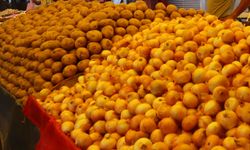 Mersin’de patates ve soğan fiyatları Ağustos’ta düşüşe geçti