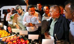 Toroslar’da 2. Şeftali Hasadı coşkuyla gerçekleşti
