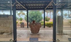 Mersin’de yağmurdan kaçan kedi, arkeoloji müzesinin tarihi eserlerine sığındı
