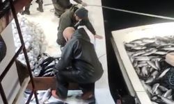 5 bin palamut tekneye sığmadı, yardıma başka tekne geldi