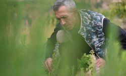 Beş dönümlük dağlık araziyi, tıbbi aromatik bitki bahçesine çevirdi
