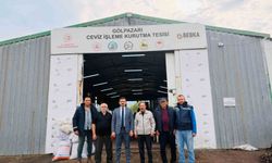 Bu tesiste yılda 400 ton ceviz kurutuluyor
