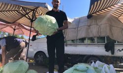 Erzincan'da turşuluk ve yemeklik lahanalar tezgahta yerini aldı