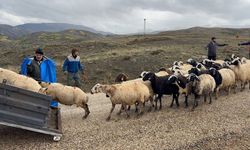 Erzincan'da yayla sezonu sona erdi, dönüş yolculuğu başladı