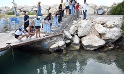Mersin'de biyolojik çeşitlilik MINKA ile kayıt altına alınıyor