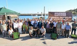 Mersin'de üreticilere makine, fide ve hayvan desteği