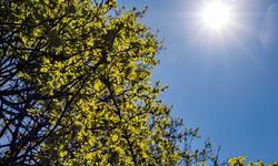 18 Ekim'de Mersin'de hava durumu