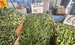 Sezonun en taze sebzesi börülce tezgahlarda