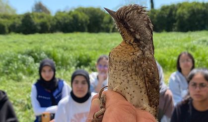 Estonya’dan göç ediyordu, Türkiye’de ilk kez yakalandı