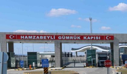 Hayvan ilacı beyan edildi, 11 kilo esrar çıktı