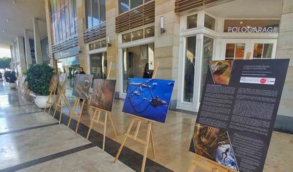 Niğde’nin Toros Kurbağası’nın su altı fotoğrafları Mersin’de sergilendi