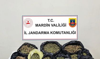 Mardin’de uyuşturucu ticareti yapan şahıs tutuklandı