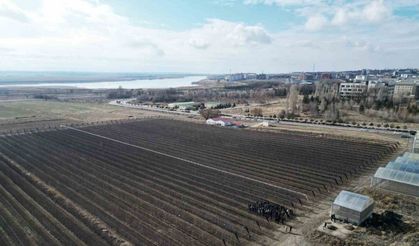 Niğde’de ’Meyve Ağacı Budama Eğitimi’ düzenlendi