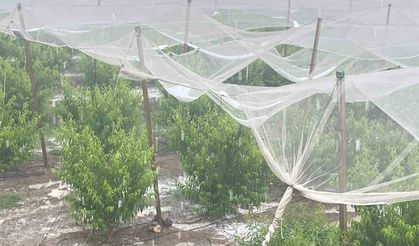 Mersin’de dolu ürünlere zarar verdi
