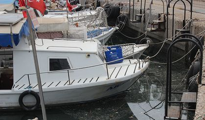 Carettaların yüzdüğü sular pislik içinde