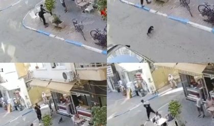 Sokak kedisine tekmeleyip ayağını kırdı: O anlar kamerada