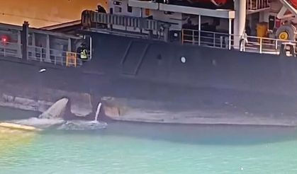 Mersin'de denizi kirleten gemiye 13 milyon TL ceza kesildi, gemi rıhtıma bağlandı