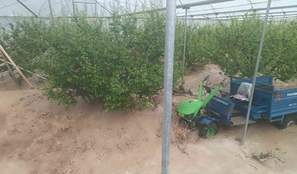 Mersin'de sağanak sele yol açtı: Yol çöktü, seralar zarar gördü