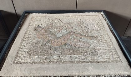 Hermaphrodit mozaiği ilgi çekiyor