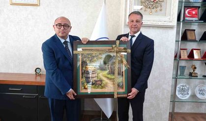 Erdemli ile Romanya'nın Braila kenti kardeş şehir oldu