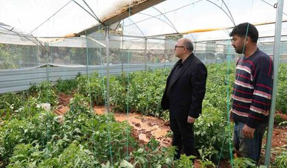 Mersin'de dolu, sebze tarlaları ve meyve bahçelerine zarar verdi