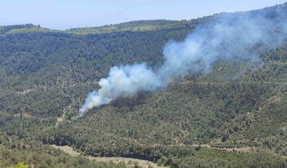 Mersin'de orman yangını: Ekiplerin müdahalesiyle kontrol altına alındı