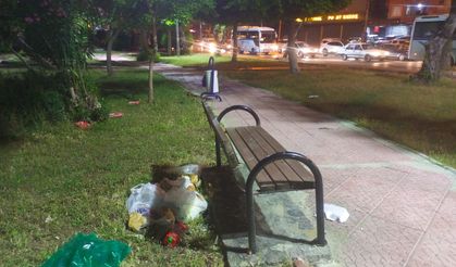 Parklarında vandalizm ve çevre kirliliği isyanı: “Her gece aynı görüntü”