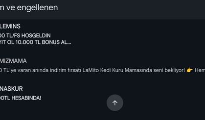 Dijital tacizin önü kesilemiyor