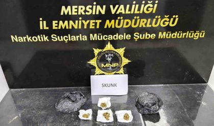 Mersin'de sokak satıcılarına operasyon: 2 tutuklama