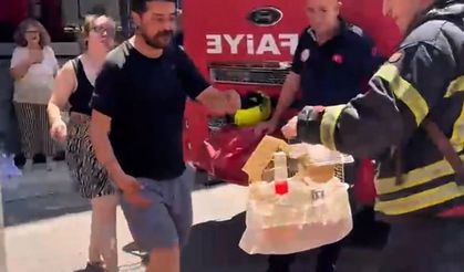 Mersin'de yangında mahsur kalan cennet papağanını itfaiye kurtardı