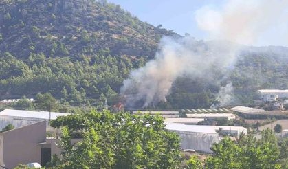 Bozyazı'da orman yangını büyümeden söndürüldü