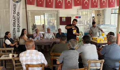 Mersin'de çiftçilere Akdeniz meyve sineğiyle mücadele eğitimi