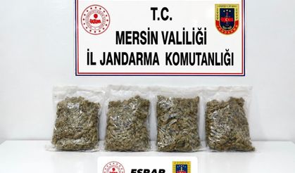 Mersin'de uyuşturucu operasyonu: 2 gözaltı