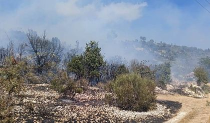 Silifke'deki yangın evlere ulaşmadan kontrol altına alındı