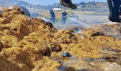 Tarsus'ta saman balyalarının olduğu alanda yangın