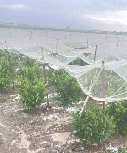 Mersin’de dolu ürünlere zarar verdi