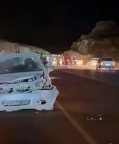 Mersin'de otomobil domuza çarptı