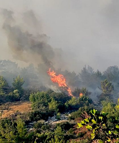 Mersin’de çevreciler orman yangınlarına karşı ses yükseltecek