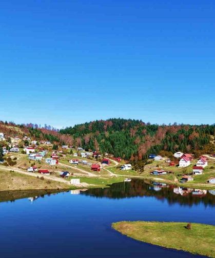 İsviçre değil Sakarya: Sultanpınar Yaylası göz kamaştırıyor