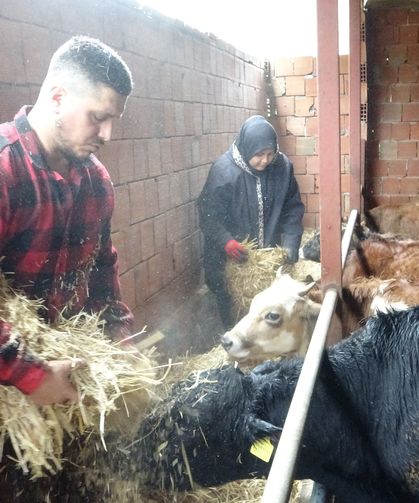 Almanya’dan köyüne döndü, çobanlık yapmaya başladı