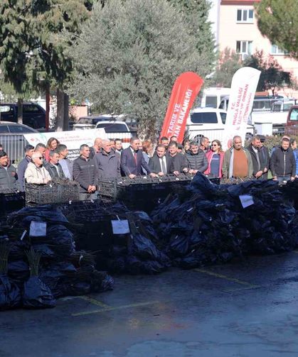 50 bin adet üzümsü fidan dağıtıldı