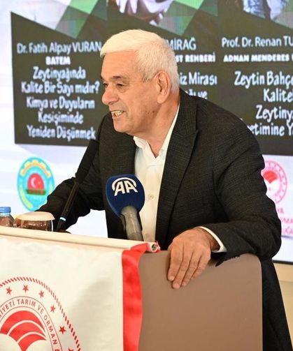 Antalya'da zeytinlik alan 20 yılda 2 katına çıktı