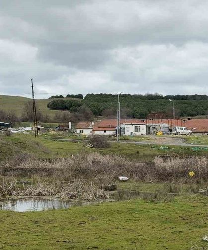 Arnavutköy'de elektrikli testereli saldırı: Çiftlik evinde dehşet